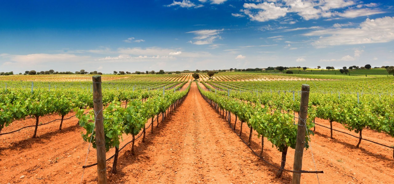 西班牙酒粉必知 十大經(jīng)典葡萄酒產(chǎn)區(qū)